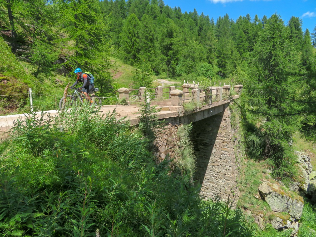 bosco navette
