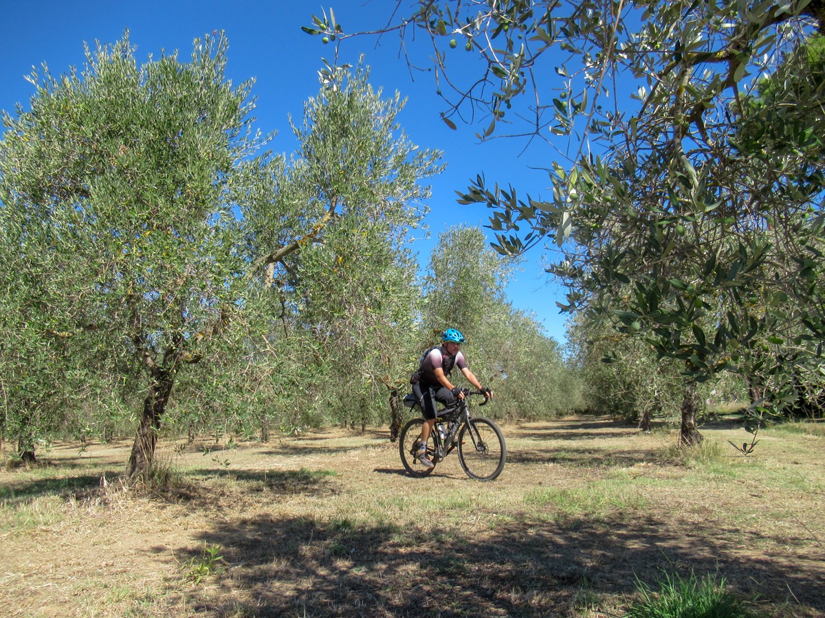 italia-costa-ovest-6-val-di-cornia
